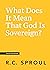 What Does It Mean That God Is Sovereign?