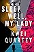 Sleep Well, My Lady (An Emma Djan Investigation, Book 2)