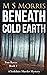 Beneath Cold Earth (DCI Tom Raven #2)