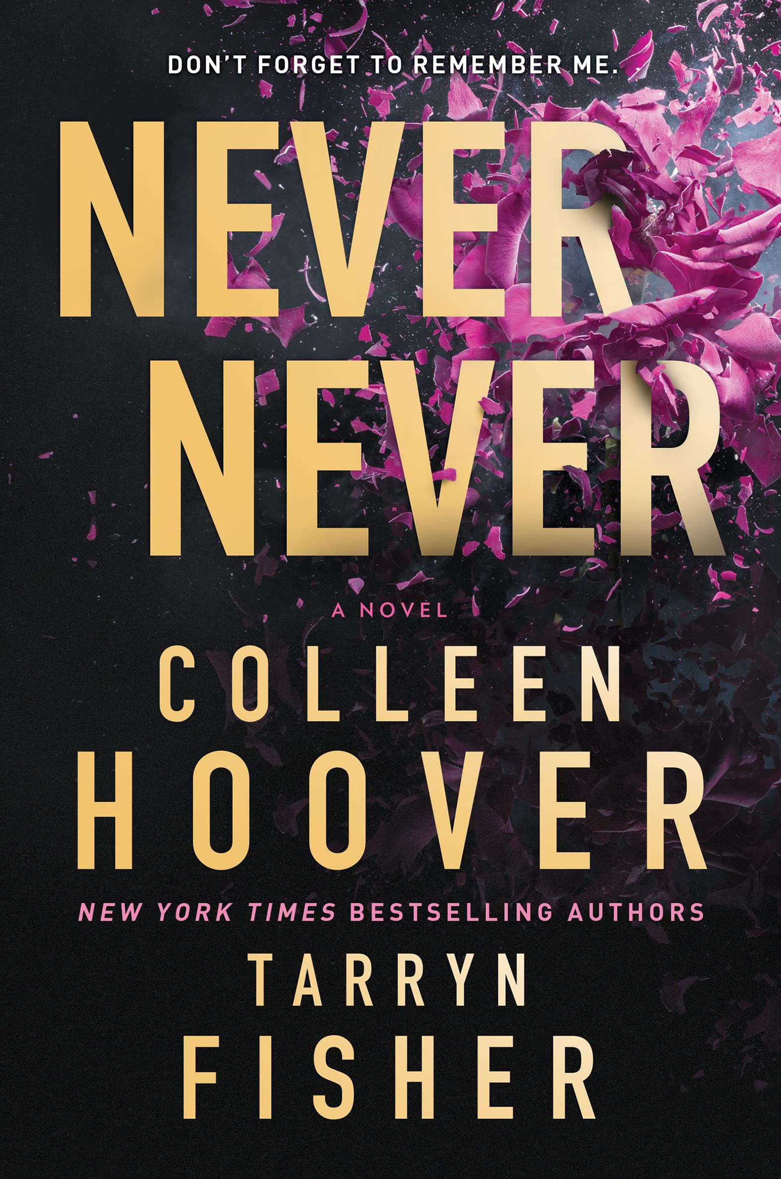 Never Never by Colleen Hoover