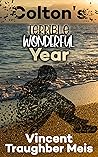 Colton's Terrible Wonderful Year by Vincent Meis