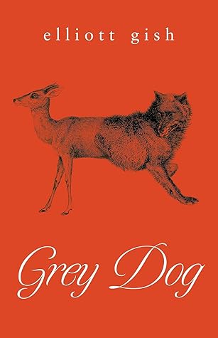 Grey Dog by Elliott  Gish