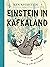 Einstein in Kafkaland: How Albert Fell Down the Rabbit Hole and Came Up With the Universe