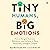 Tiny Humans, Big Emotions: How to Navigate Tantrums, Meltdowns, and Defiance to Raise Emotionally Intelligent Children