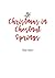 Christmas in Chestnut Springs (Chestnut Springs #5.1)