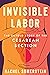 Invisible Labor by Rachel Somerstein