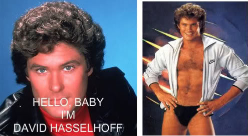 hasselhoff-1-1