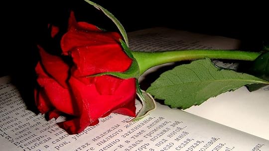  photo rose_flower_bud_book_text_23364_3840x2160.jpg