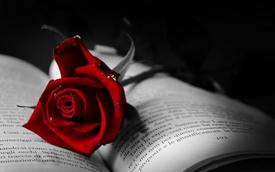  photo the-symbol-of-love-red-rose-on-a-book_2560x1600.jpg