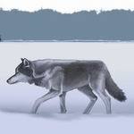 Profile Image for Svalbard.