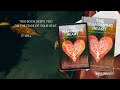 Book Trailer- The Wandering Heart: A Tale of a Misfit Traveling in Life's Wilderness