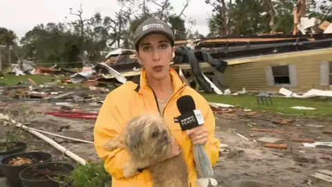 A TV reporter holding a microphone and a dog wearing a yellow jacket