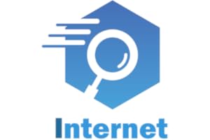 Fast Internet Search