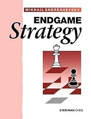 Endgame strategy by M. I. Shereshevsky