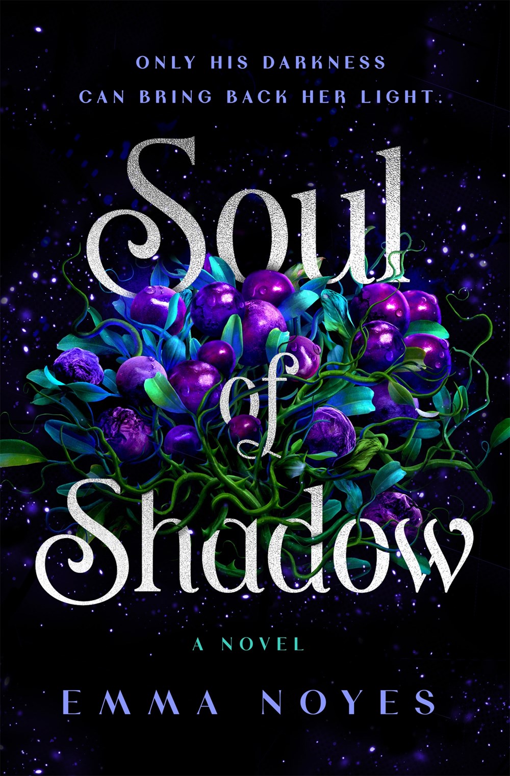 Soul of Shadow Book Cover