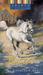 Bonita (Spirit of the West, #1) by Kathleen Duey