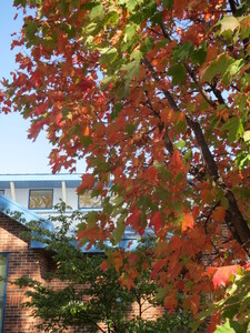 Newton Public Library Iowa