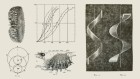 James Clerk Maxwell’s ode to bubble blowing