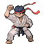 Karateka RFVH.png