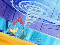 EP510 Feraligatr de Marina.png