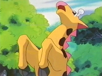 Girafarig usando pisotón.