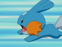 Mudkip usando placaje.