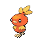 Torchic