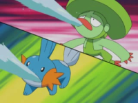 Mudkip usando pistola agua.