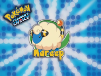 ¡Mareep!