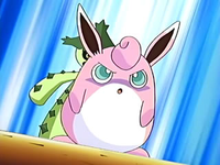 Wigglytuff protege a Cacturne.