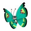 Vivillon vergel