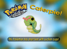 Caterpie