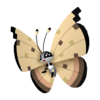 Vivillon desierto