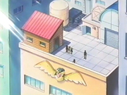 Fachada de Pidgey