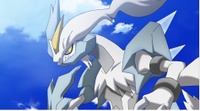 Kyurem blanco.