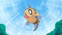 Feebas.