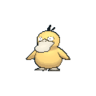 Psyduck