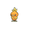 Torchic