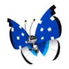 Vivillon taiga