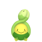 Budew macho