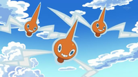 Rotom junto a los demás de su especie.