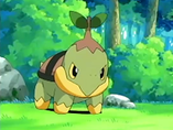 Imagen de Turtwig