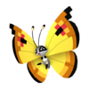 Vivillon continental