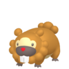 Bidoof