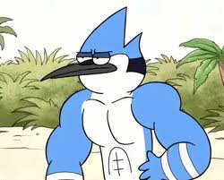 Mordecai_muscle.jpg