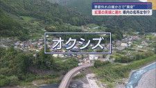 今年の静岡県内の紅葉は…オクシズを調査