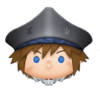 Pirate Sora DTT.png