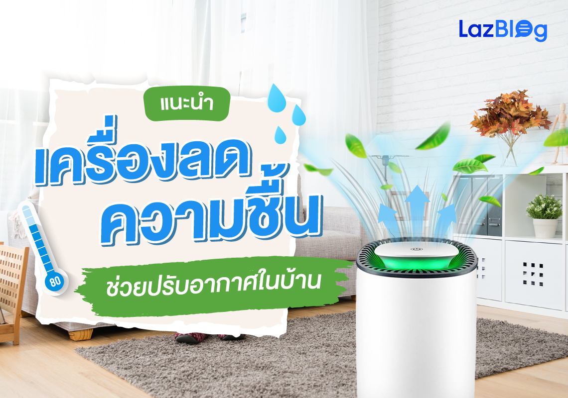 Lazblog_เครื่องลดความชื้น