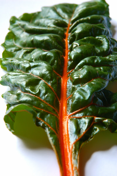 Rainbow Chard