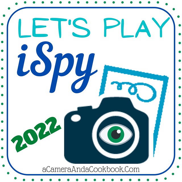 Let's Play iSpy 2022